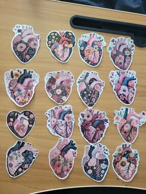 🌹New🌹Floral Anatomical Heart Sticker Pack - Pink Floral Design